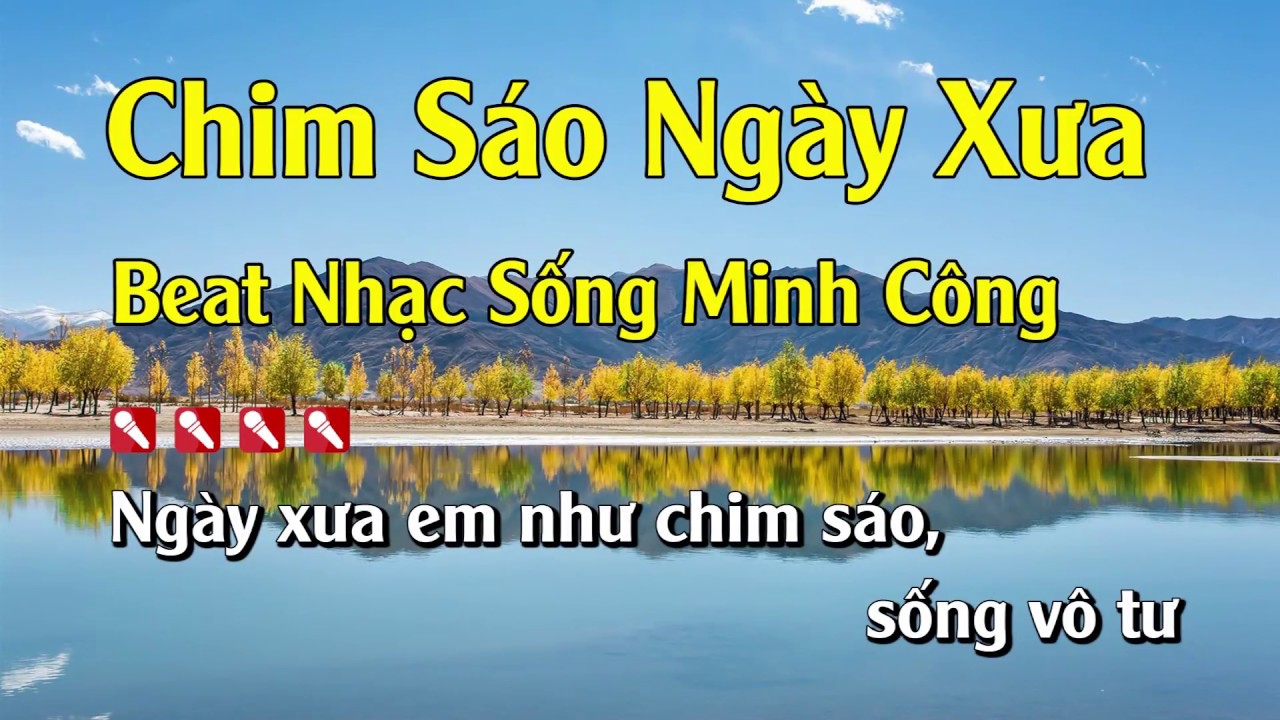 Karaoke Chim Sáo Ngày Xưa Hay Nhất – Tone Nam