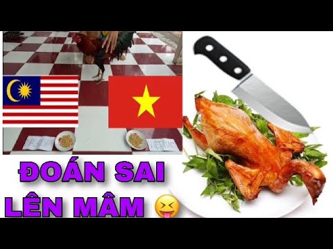 DỰ ĐOÁN VIỆT NAM VÀ MALAYSIA BÁ ĐẠO VÀ CÁI KẾT KHÔNG LÀNH