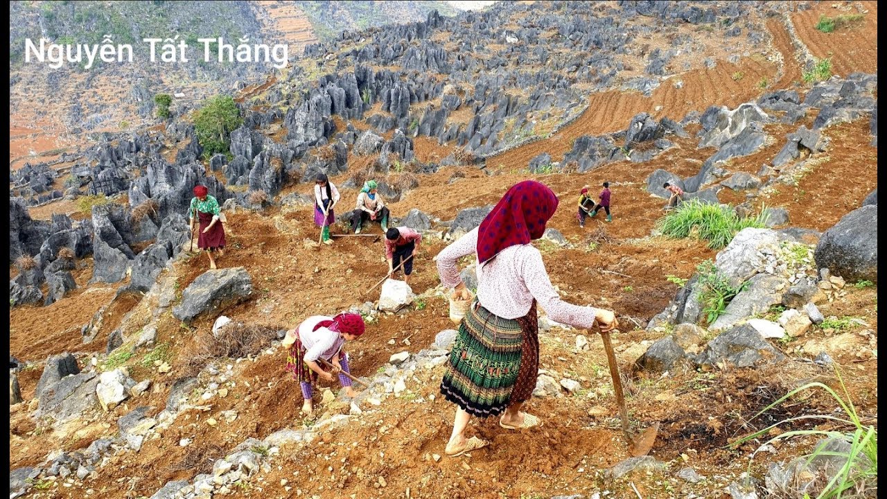 Lên thăm nhà anh Lía Tin Vui dê đã đẻ thêm. Nguyễn Tất Thắng