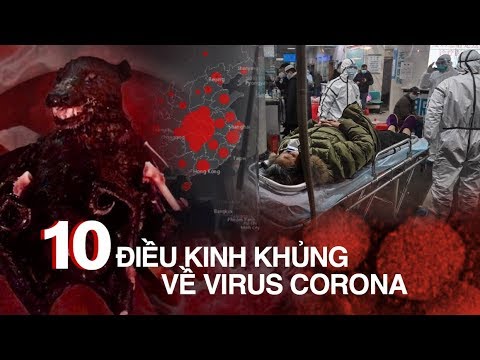 10 ĐIỀU KINH KHỦNG về VIRUS CORONA – 11 tỉnh thành Việt Nam NGUY CƠ THÀNH Ổ DỊCH