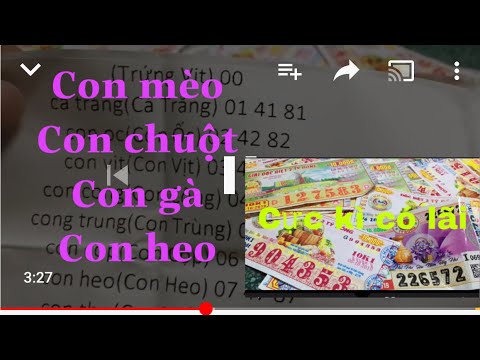 Vé Số Từ 00-99 Mơ Cái Gì Có Số Đó