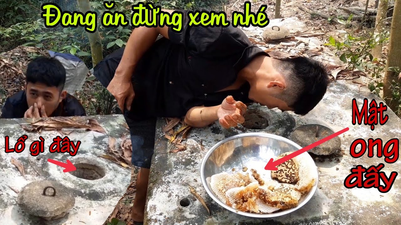 Lấy mật ong trong nhà WC và cái kết thơm phức🤣🤣💯Xóm Rừng Quảng Nam